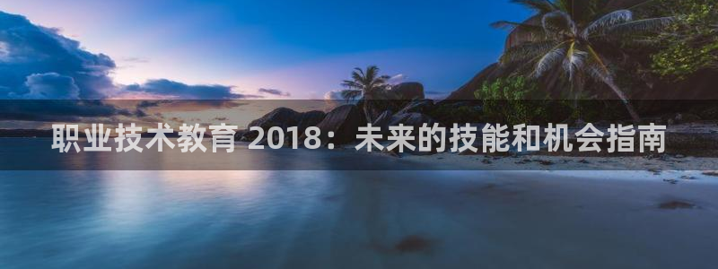 j9官网平台|职业技术教育 2018：未来的技能和机会指南